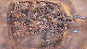 Read more about the article ইতিহাসের সবচেয়ে ২০টি ভয়াবহ মহামারী