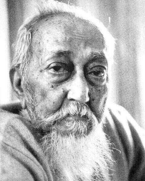 জাতীয় অধ্যাপক আব্দুর রাজ্জাক